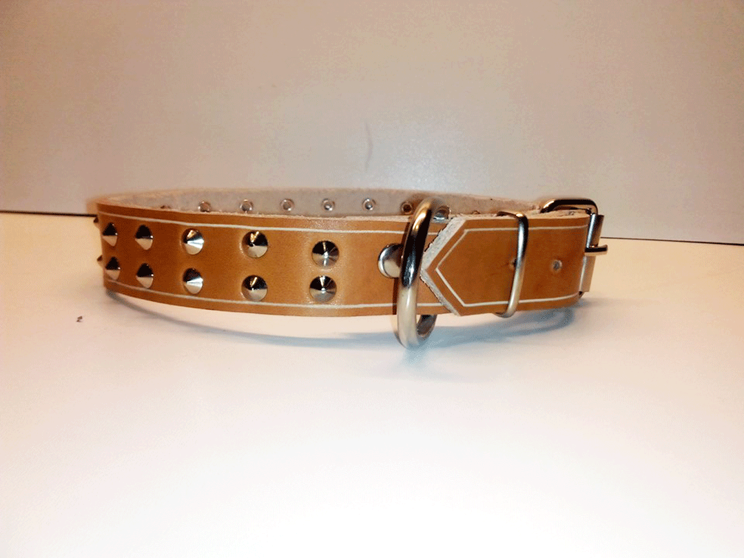 Collar perro cuero chincheta