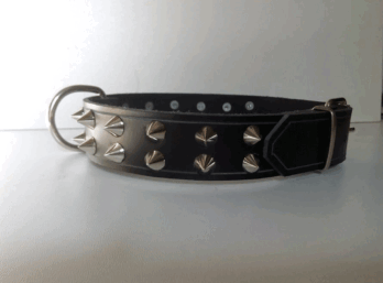 Collar perro 2 pincho