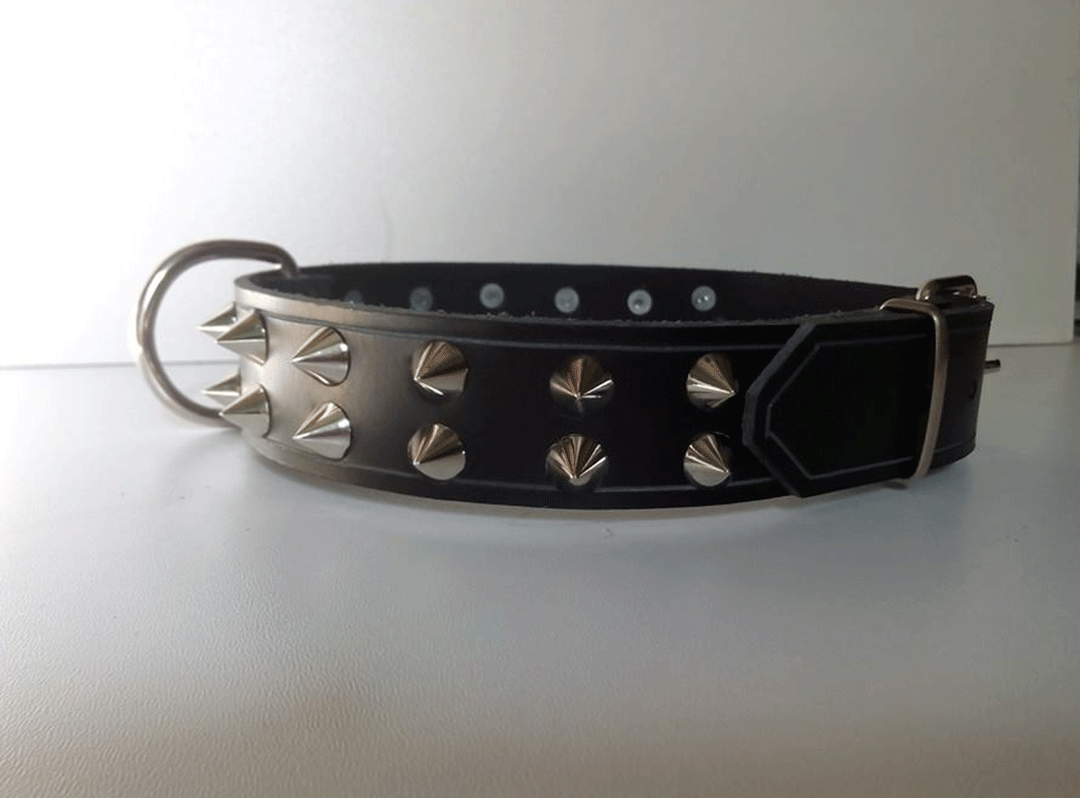 Collar perro 2 pincho