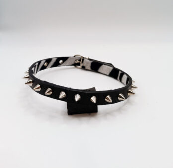 Collares