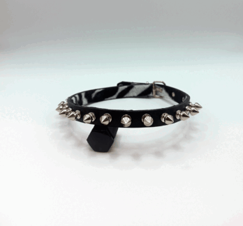 Collar  pincho seta